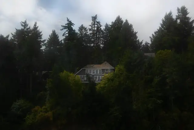 House surrounded by tall evergreen trees