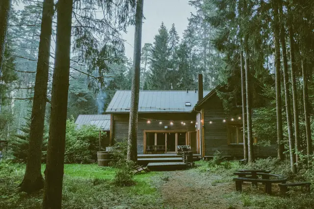 Small wooden house among tall evergreen trees with its lights on